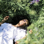 Sun, Soil, and Serenity: A Guide to the Good Life